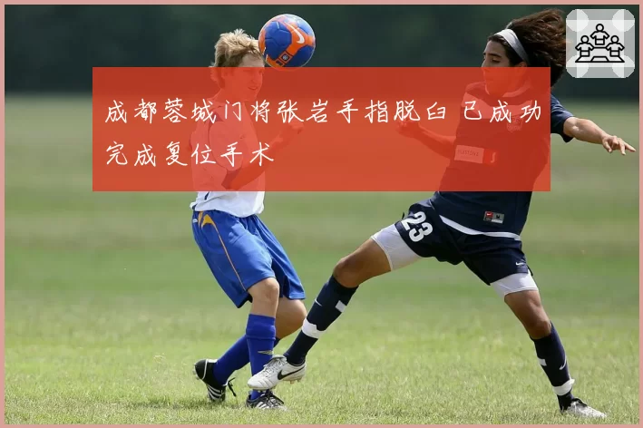 成都蓉城门将张岩手指脱臼 已成功完成复位手术