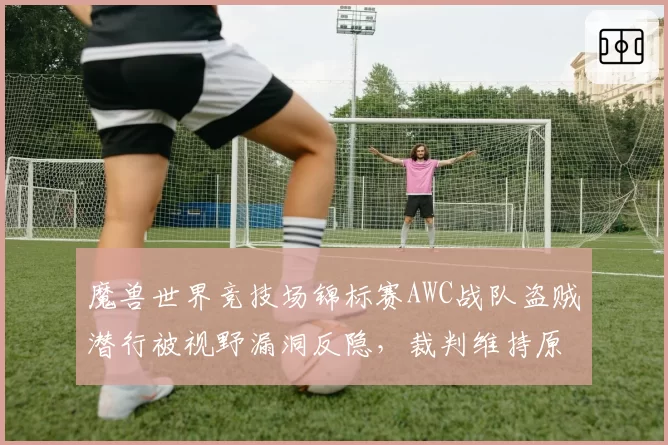 魔兽世界竞技场锦标赛AWC战队盗贼潜行被视野漏洞反隐，裁判维持原判