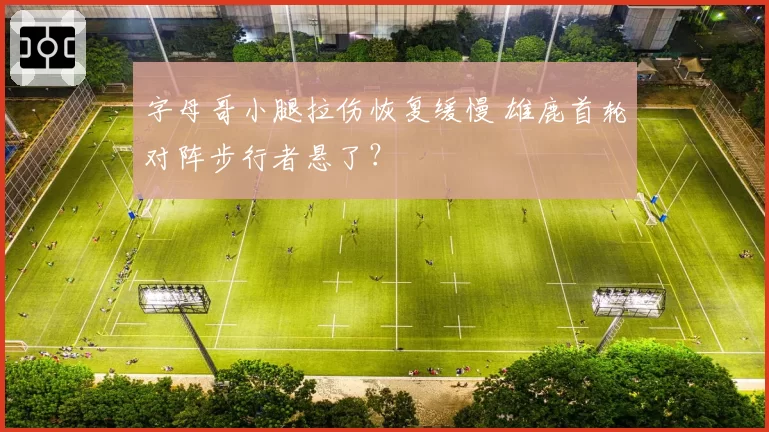 字母哥小腿拉伤恢复缓慢 雄鹿首轮对阵步行者悬了？
