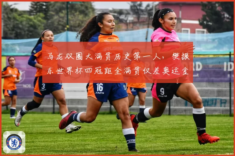 马龙双圈大满贯历史第一人，樊振东世界杯四冠距全满贯仅差奥运金牌