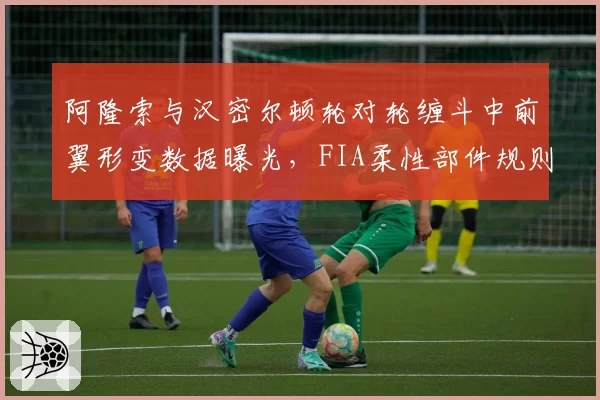 阿隆索与汉密尔顿轮对轮缠斗中前翼形变数据曝光,FIA柔性部件规则形同虚设